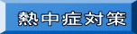 MǑ΍ 