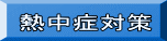 MǑ΍